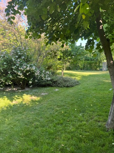 Bragadiru Mugurelui Vila solida constr 2005 + piscina + teren 2000 mp